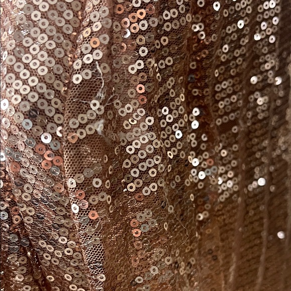 Elegant Sequin Maxi Skirt - Rose Gold - Picture 6 of 8